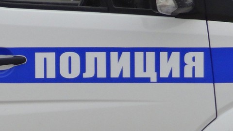 Полицейские села Викулово задержали подозреваемого в краже телефона